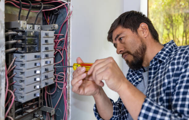 Best Ceiling Fan Installation Electrician  in Flowery Branch, GA